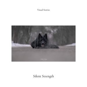 Visual Stories — Art 005 Silent Strength