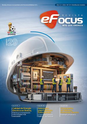eFocus Nº29