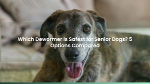 Which Dewormer Is Safest for Senior Dogs? 5 Options Compared
