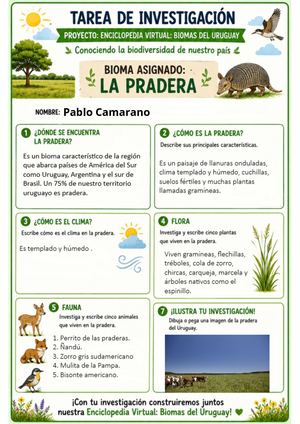 Investigación Sobre La Pradera