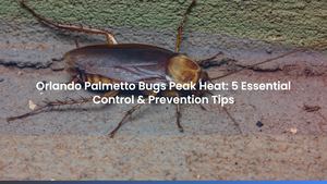 Orlando Palmetto Bugs Peak Heat: 5 Essential Control & Prevention Tips