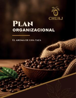 PLAN ORGANIZACIONAL