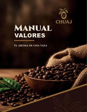 MANUAL VALORES