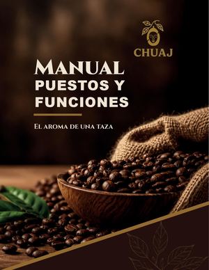 MANUAL PUESTOS Y FUNCIONES