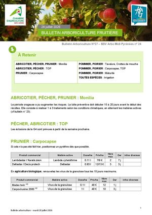 Bulletin arbo n°27 du 28 Juillet 2026