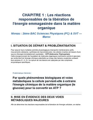 Chapitre 1 Reactions De Liberation De L'energie 2 Bac Pc