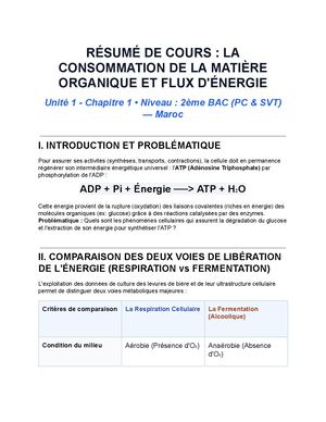 Resume De Cours Consommation De La Matiere Organique 2 Bac Pc