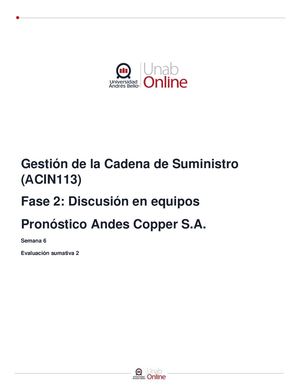 Acin113 Instrucc Sum2validada Et 3