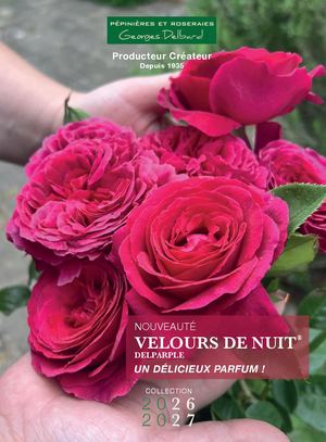 Catalogue 26-27