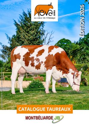 Catalogue Export 2026-2027 (FR)
