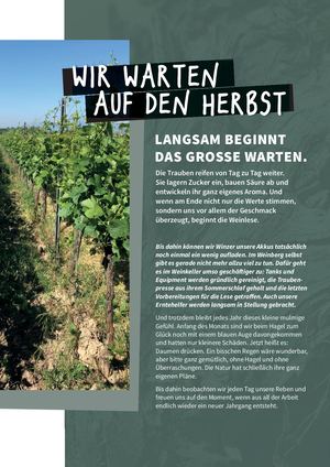 Warten Auf Den Herbst 07 2026
