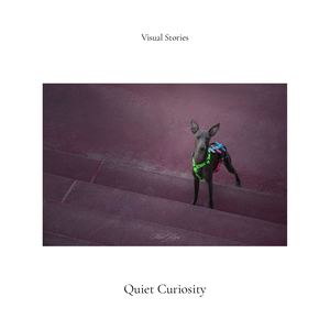 Visual Stories — Art 006: Quiet Curiosity