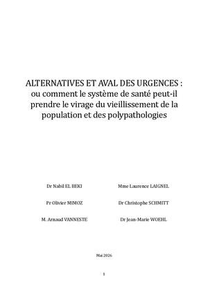 Rapport Mission Aval Alternatives Aux Urgences