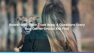 Board-and-Train Triad Area: 4 Questions Every Dog Owner Should Ask First