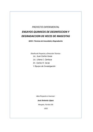 Proyecto Quimico Qhc 2022 Docx
