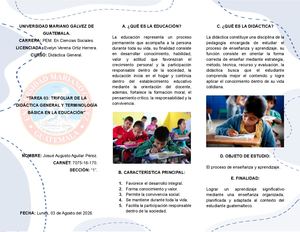 Trifoliar De La Didáctica General Y Terminología Básica En La Educación