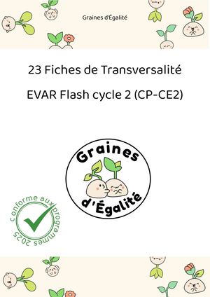 Extrait Fiches De Transversalité Evar Flash Cycle 2 Docx (1)