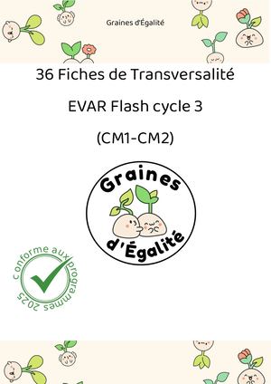 Extrait Fiches De Transversalité Flash Cycle 3 (1)