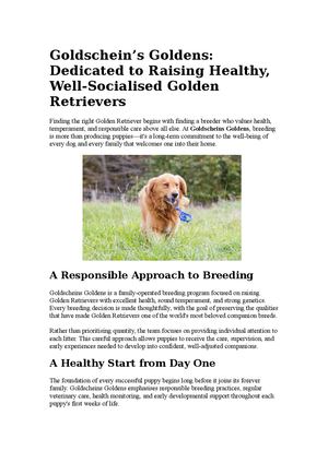 Goldschein’s Goldens Dedicated To Raising Healthy, Well Socialised Golden Retrievers
