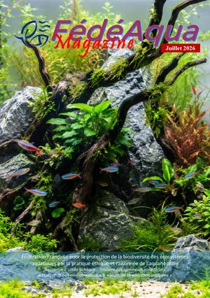 FédéAqua Magazine - Juillet 2026