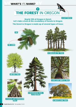 Extrait EN138 | What's its name ? Forest