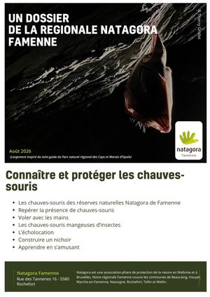 Les Chauves Souris