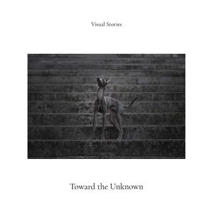 Visual Stories — Art 007: Toward The Unknown