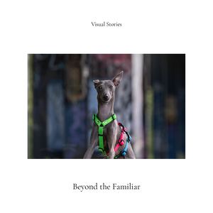 Visual Stories — Art 008: Beyond The Familiar