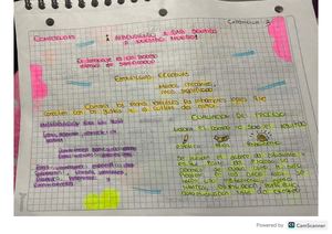 Apuntes De Didáctica De Español Laura Alvarez