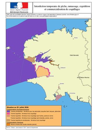 260729 Carte