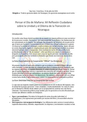 Pensar En El Día De Mañana Mi Reflexión Ciudadana Sobre La Unidad Y El Dilema De La Transición En Nicaragua