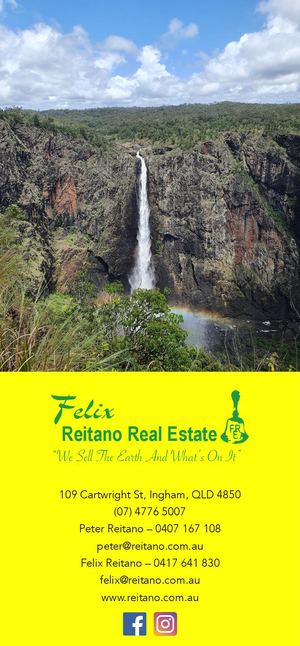Felix Reitano Furniture and Real Estate