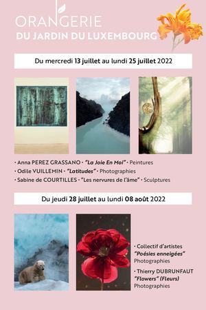 Flyer Sénat