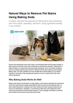 Natural Ways To Remove Pet Stains Using Baking Soda