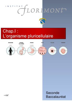 Les Niveaux D'organisation