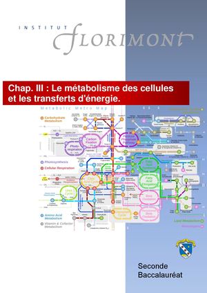 Le Métabolisme Des Cellules