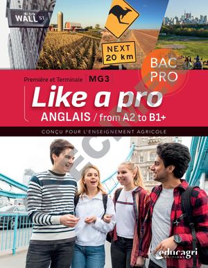 Anglais « Like a Pro » MANUEL SP