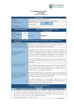 5 D Laboral Internacional