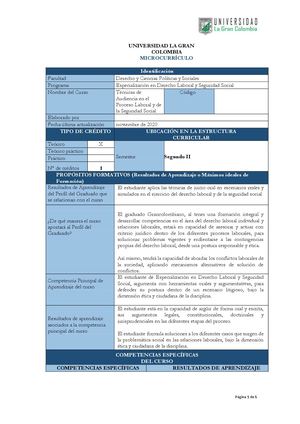 8 Técnicas De Audiencia En Procesos Laborales Y De Seguridad Social