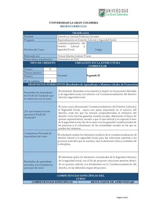 13 Constitucionalización Del Derecho Laboral Y Seguridad Social
