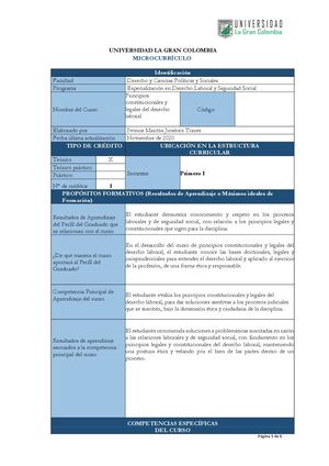 18 Principios Constitucionales Y Legales Del Derecho Laboral