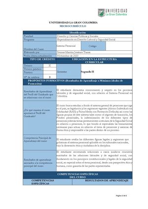21 Sistema Pensional