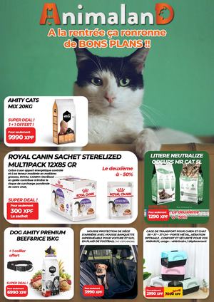 ÇA RONRONNE DE BONS PLANS CHEZ ANIMALAND