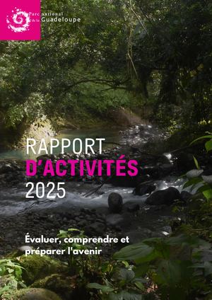 Rapport D'activités 2025