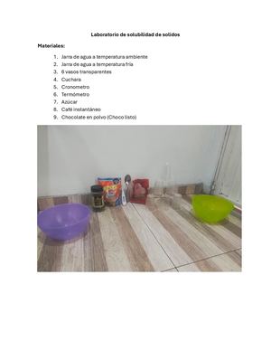 Laboratorio De Solubilidad De Solidos
