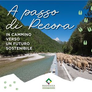 A passo di pecora. In cammino verso un futuro sostenibile