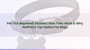 Pet Tick Repellent Stickers: How They Work & Why NatPat Is Top Option For Dogs