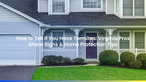 How to Tell If You Have Termites: Virginia Pros Share Signs & Home Protection Tips