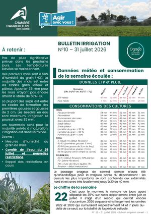 Bulletin Irrigation n°10 - Eté 2026