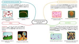 Carte Mentale (Complète)